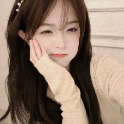 我的会长大人